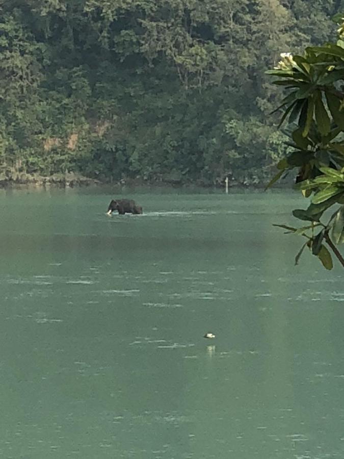 Ganga Forest View Rishīkesh 外观 照片